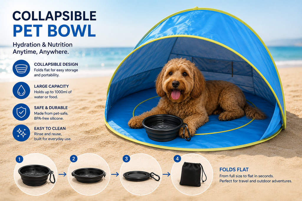 Collapsible Dog Bowl