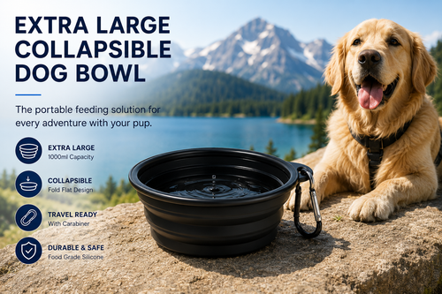 Collapsible Dog Bowl